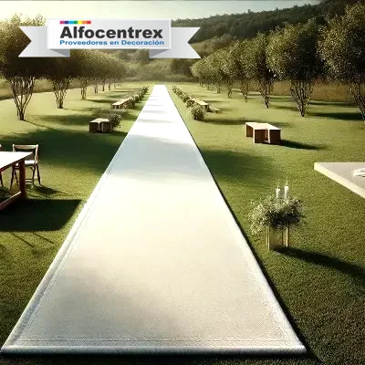 Camino Alfombra Blanca Alfocentrex Cartagena Caminos Alfocentrex Iglesias